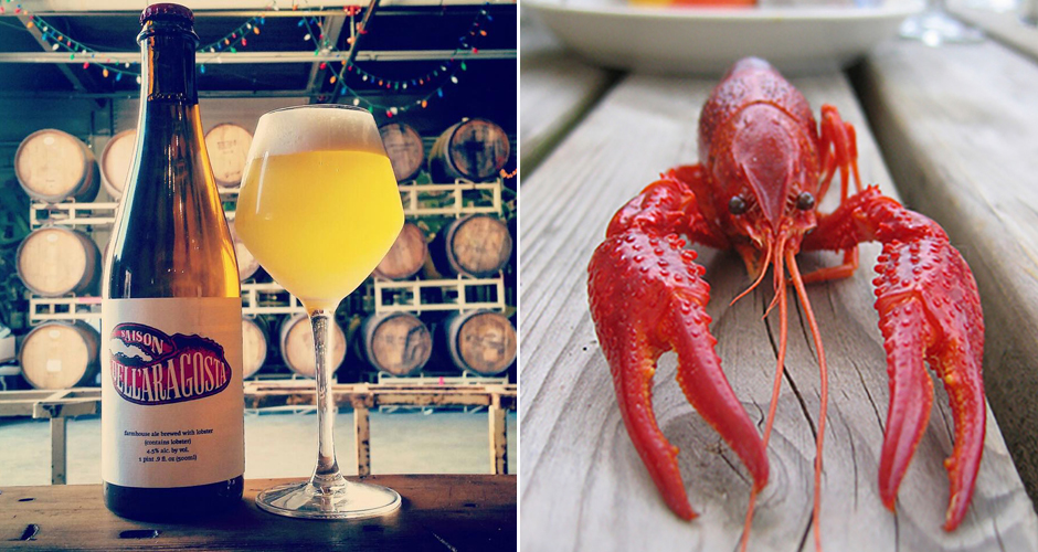 Brewery in Maine Is Brewing Beer With Live Lobsters First We Feast