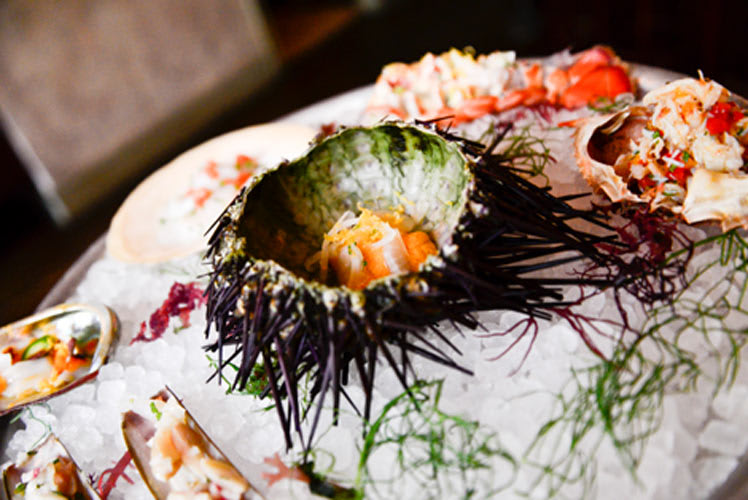 Our 5 Favorite Raw Bars in NYC First We Feast