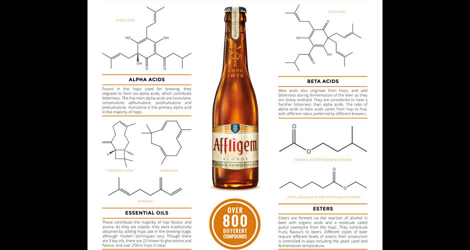 Infographic: What Gives Beer Its Flavor? | First We Feast