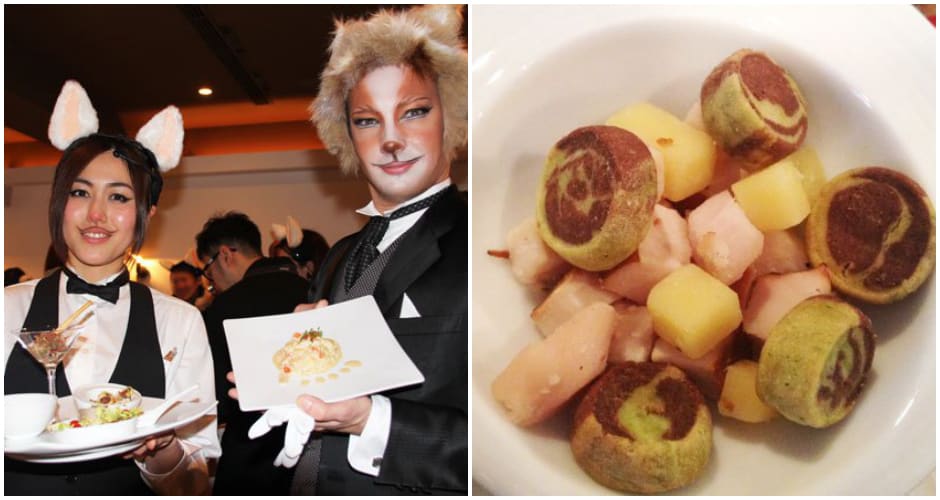 Japanese Cat Food Brand Opens PopUp Kitty Cuisine Restaurant for