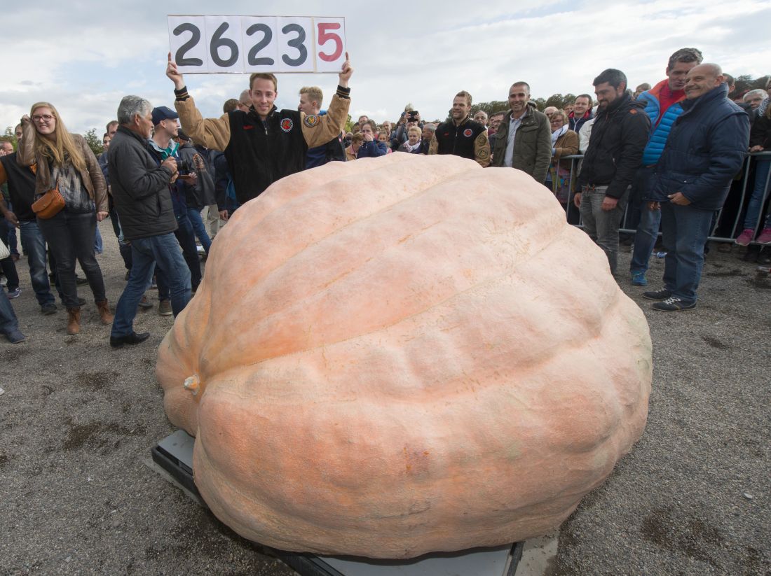 this-terrifying-2-600-pound-pumpkin-just-shattered-the-world-record