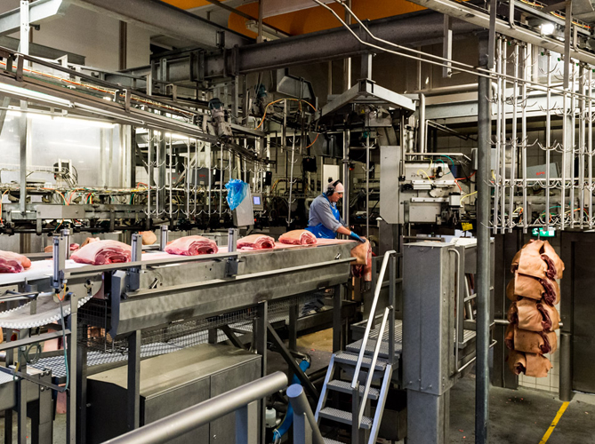 Gizmodo Gives a Visual Tour of The World's Most Modern Slaughterhouse