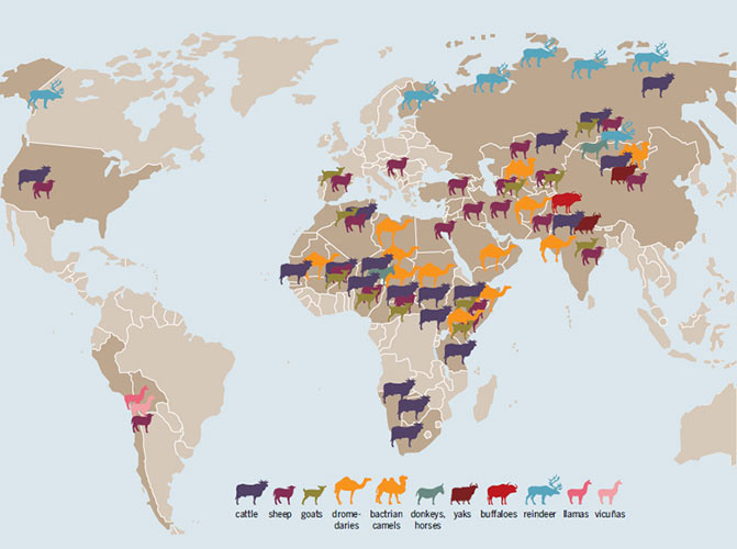 fascinating-meat-atlas-maps-chronicle-the-world-s-meat-production-and