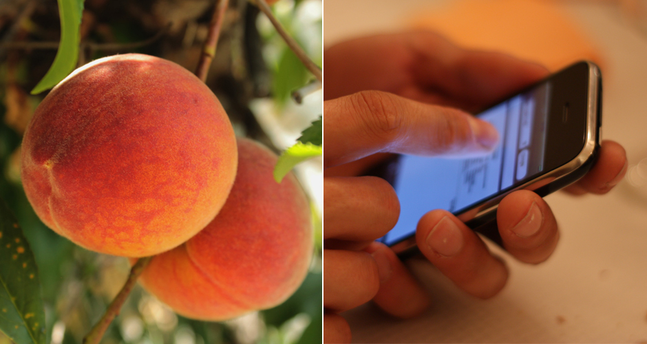 Apple Just Brought Back Its ButtShaped Peach Emoji First We Feast