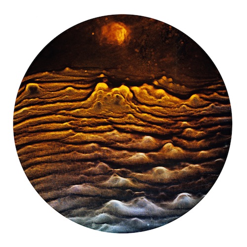 Booze Art Check Out These Stunning Photos of Dried Scotch Residue
