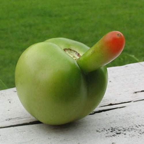 20 Fruits And Vegetables That Look Suspiciously Sexual First We Feast