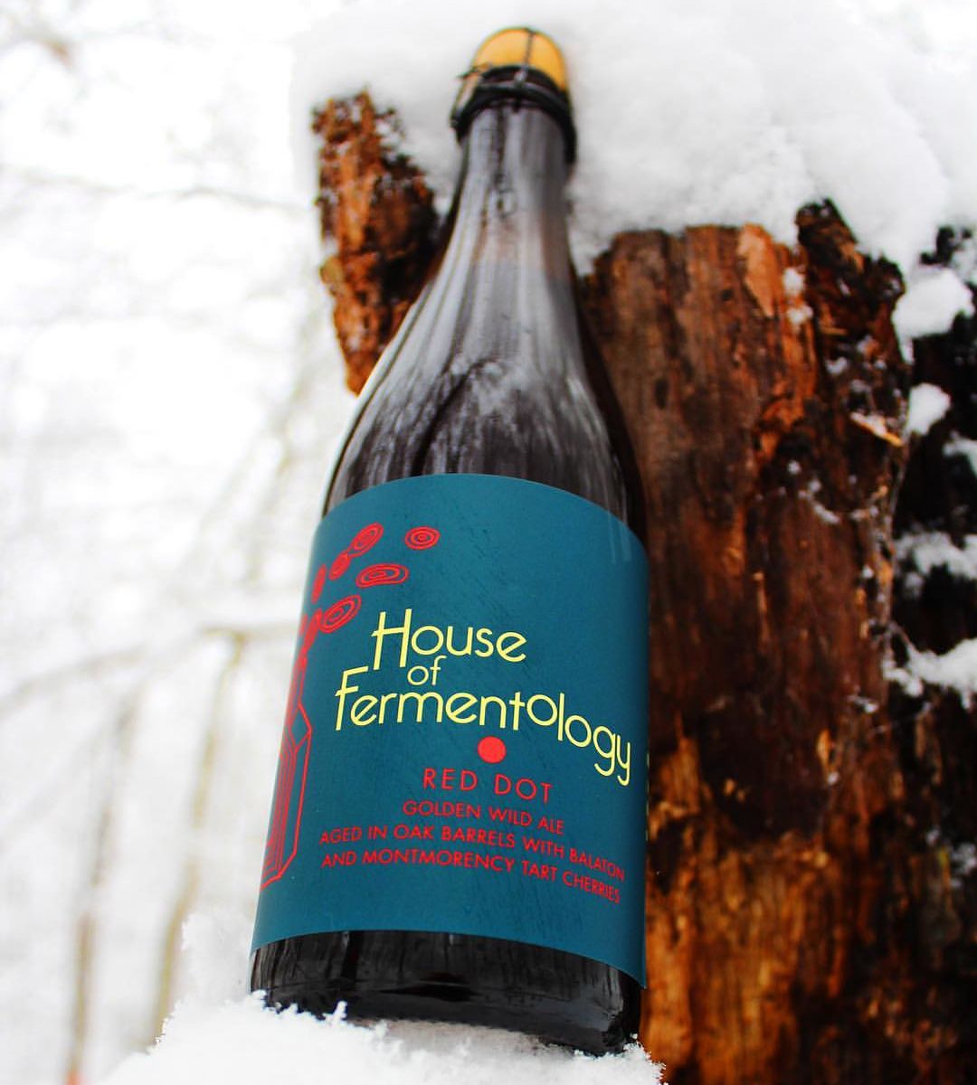 10 Breweries Primed to Breakout in 2017 First We Feast