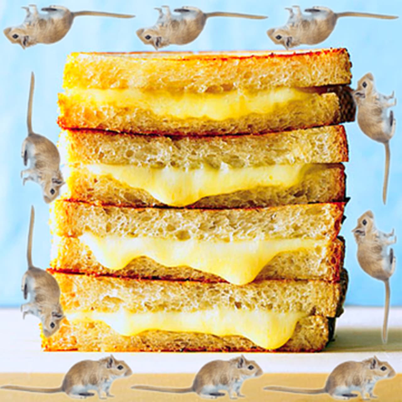 gerbil snacks