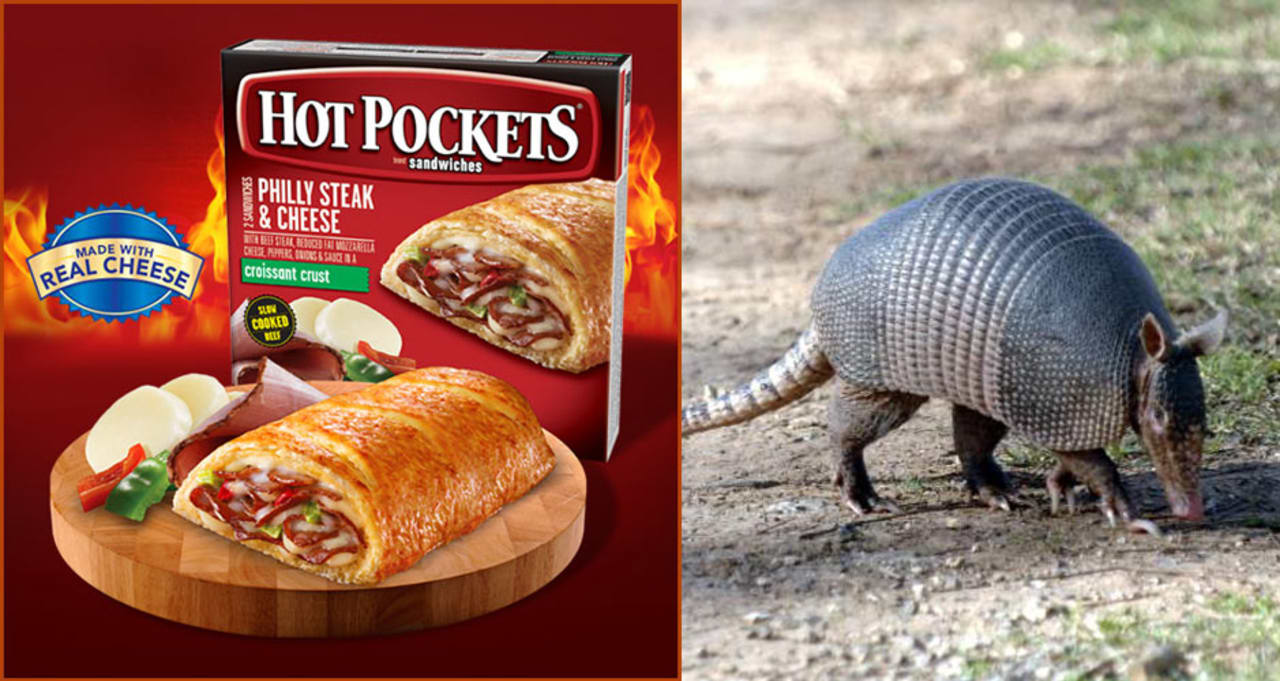 Can Dogs Eat Hot Pockets?