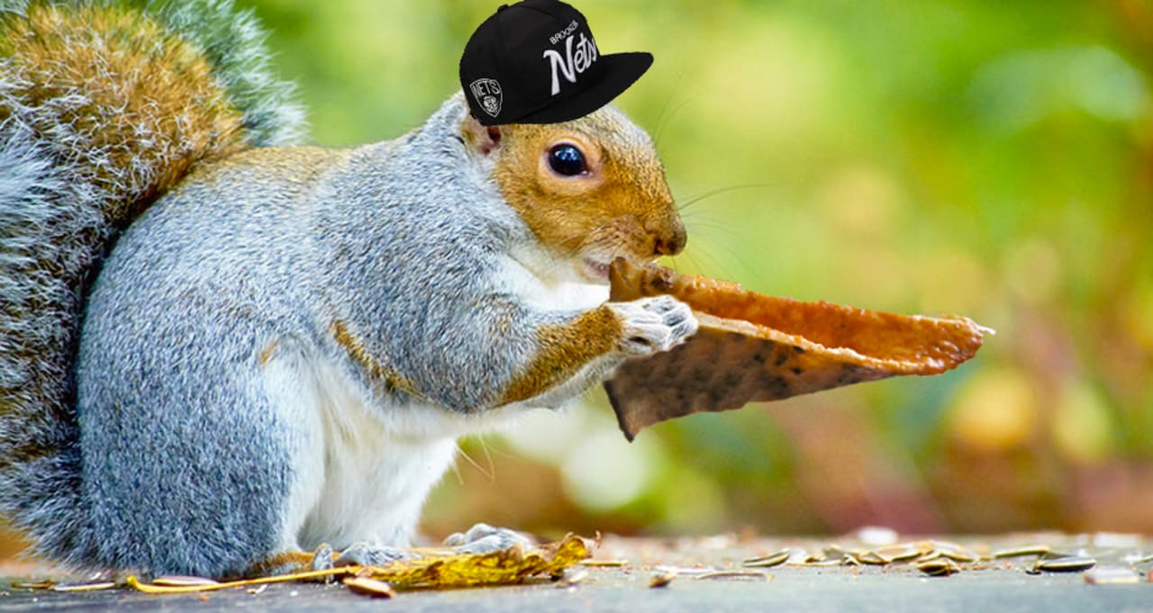 Squirrel Perfectly Folds A Slice Of Pizza Should Be The New Mayor Perfectly Folds A Slice Of Pizza