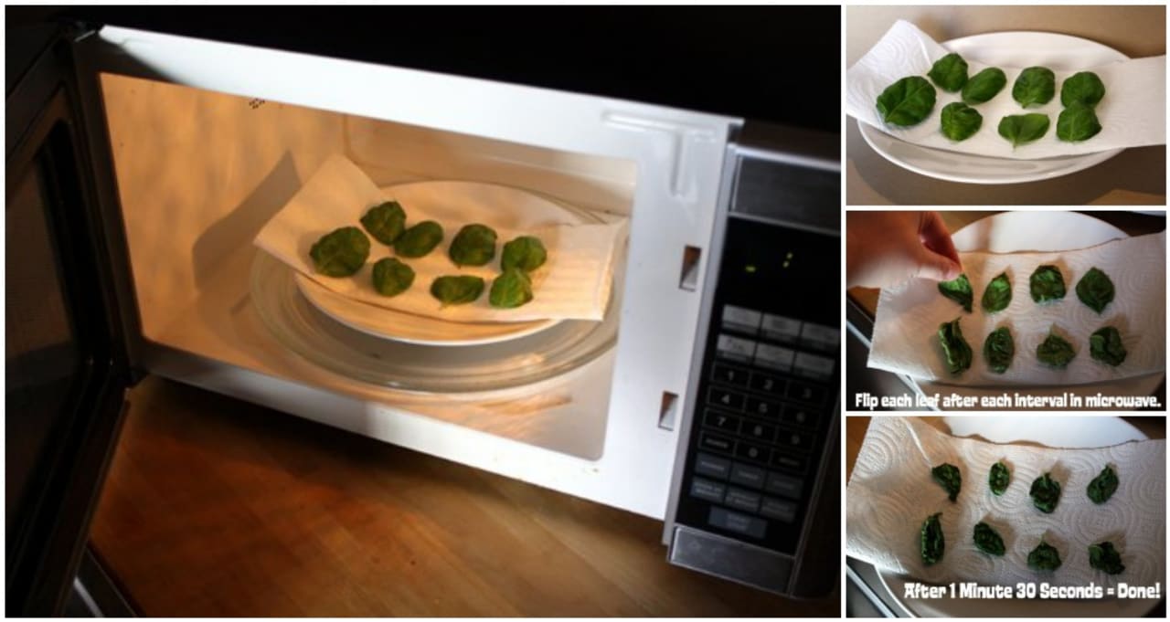 The One Trick You Need to Use When Microwaving Leftovers « Food Hacks ::  WonderHowTo