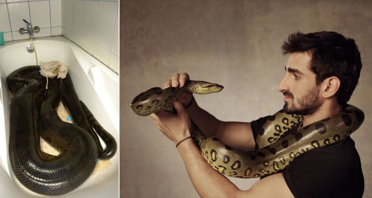 New Show Will Document A Man Being Eaten Alive By An Anaconda First We Feast