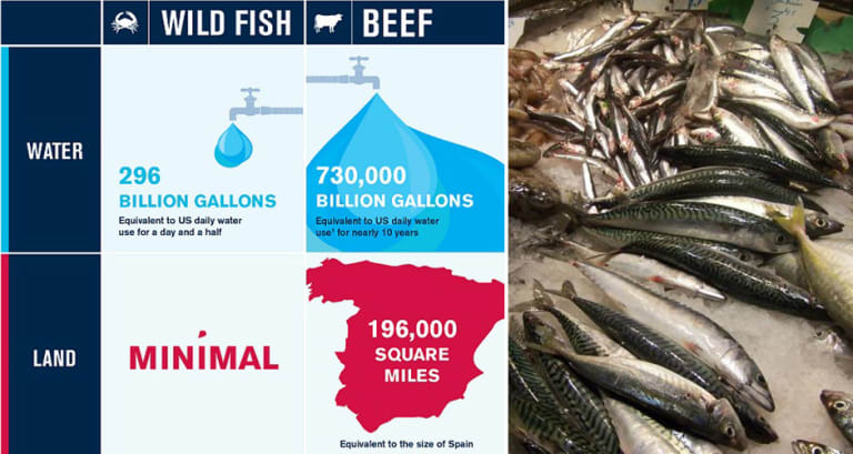 Infographic: Why Seafood is The Perfect Protein | First We Feast