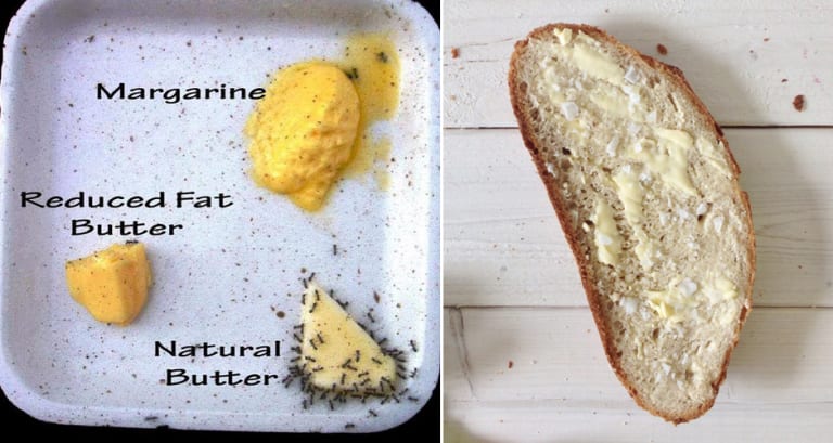 Further Proof That Real Butter Is Better Than Margarine First We Feast