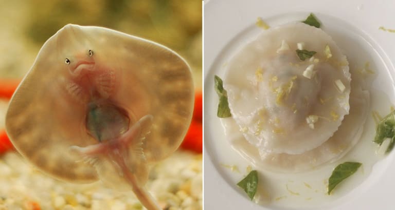 summer baby necessities