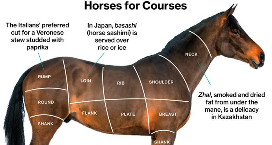 Image result for  horse - meat 