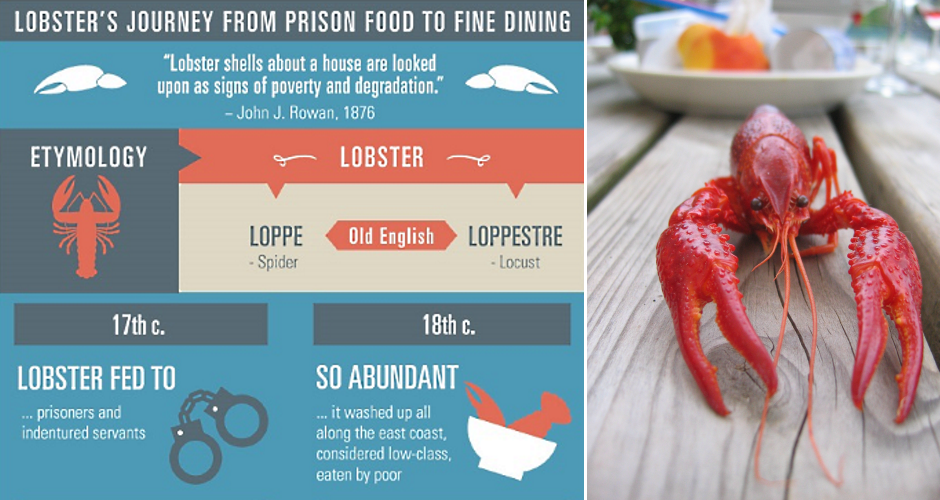 Infographic: Lobster's Journey From Prison Food to Fine Dining | First ...