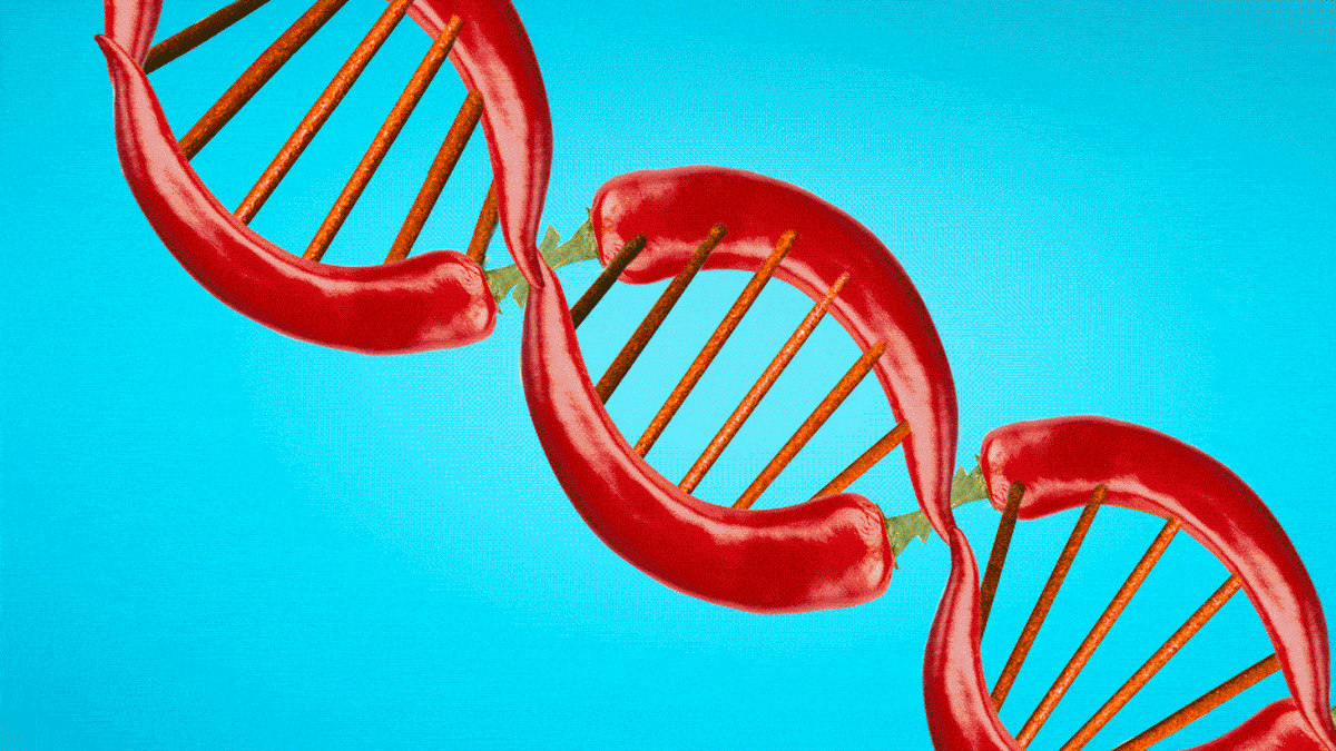 Uncovering The Science Of Spicy Food First We Feast