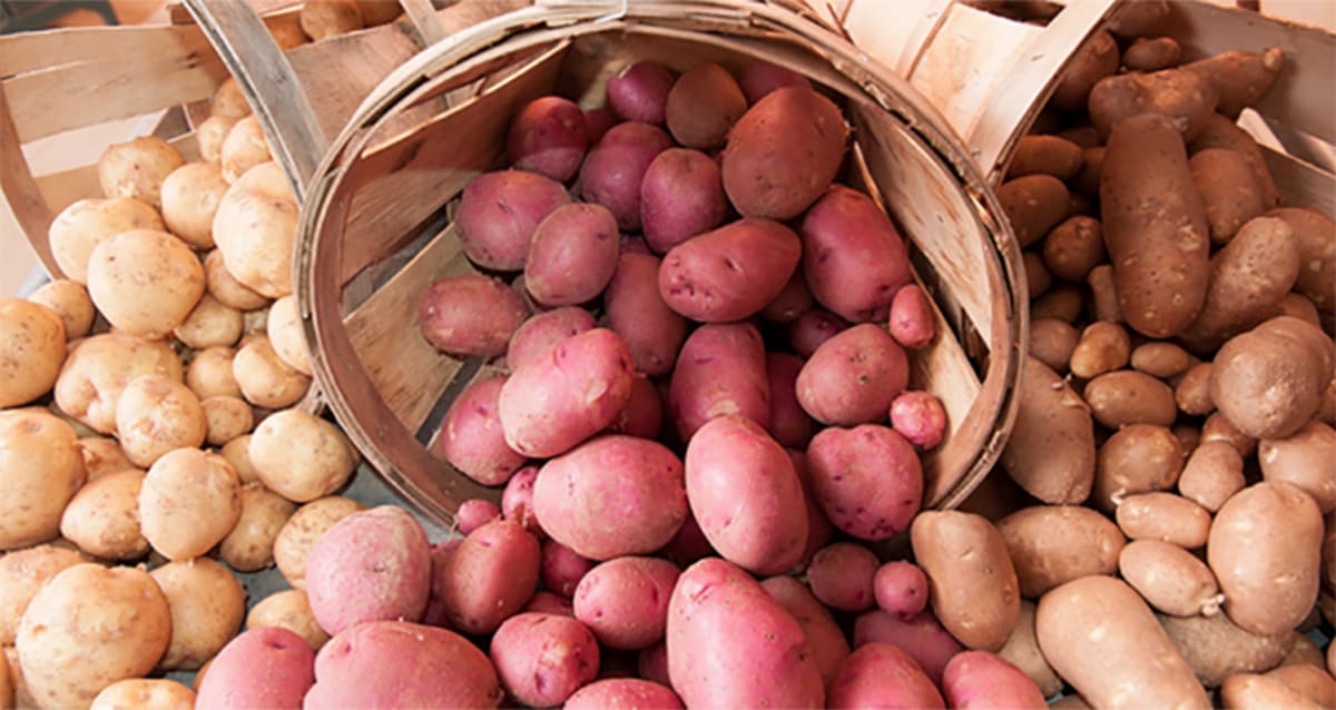 Man Sells Photograph of a Dirty Potato for $1.5 Million Dollars | First