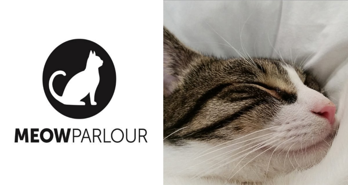 Meow Parlour, NYC's First Permanent Cat Café, Is Now Hiring First We