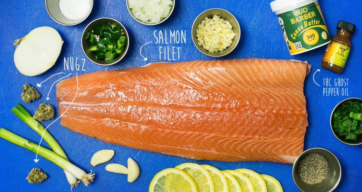 my dog ate smoked salmon