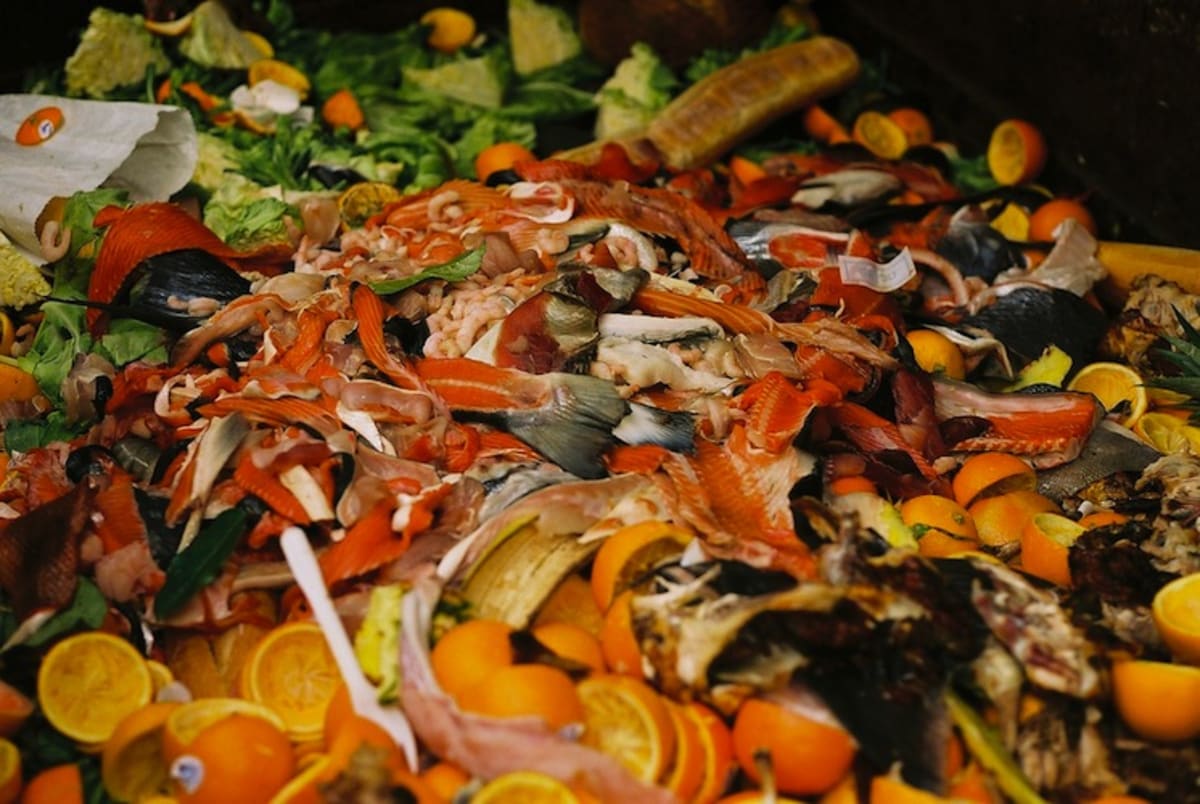 facing-the-realities-of-food-waste-in-the-restaurant-business-first