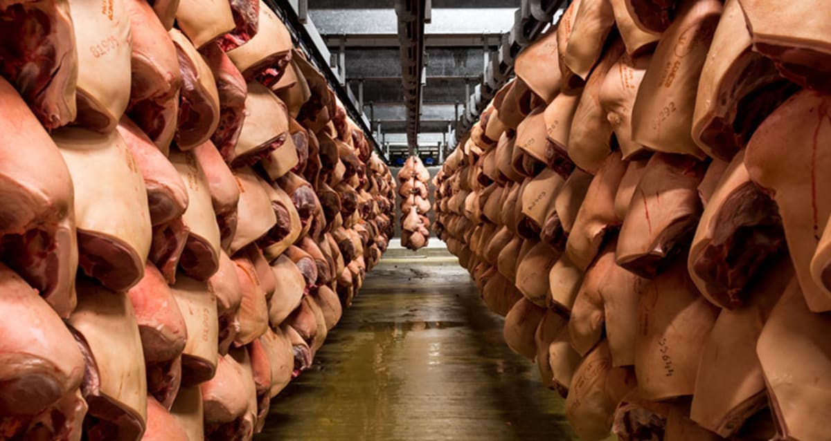 Gizmodo Gives a Visual Tour of The World's Most Modern Slaughterhouse