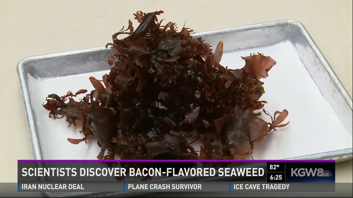This Seaweed Tastes Like Bacon, Is Twice As Nutritious As Kale | First