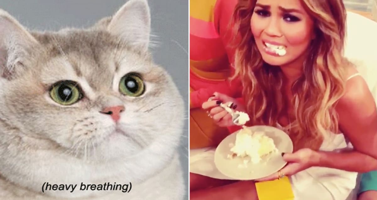 10 Memes That Perfectly Embody The Post-Thanksgiving Itis | First We Feast
