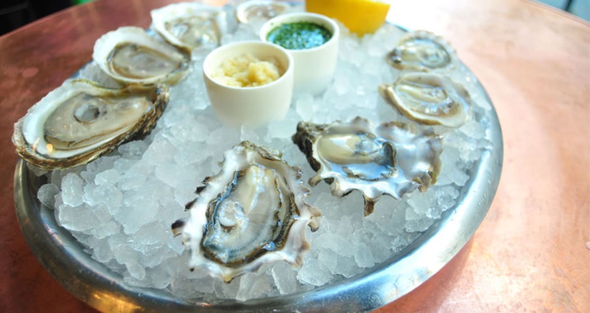 High Life Decoded Your Essential Guide to Eating Oysters First We Feast