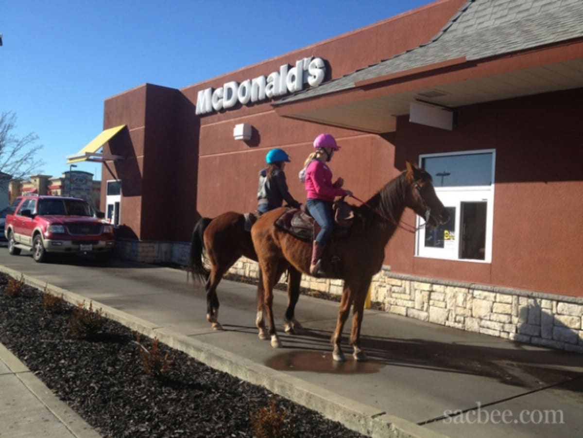 horse mac donald free mp3 downloads