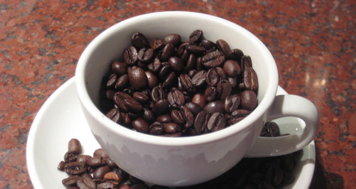 study-suggests-drinking-more-coffee-may-reduce-the-effects-of-liver