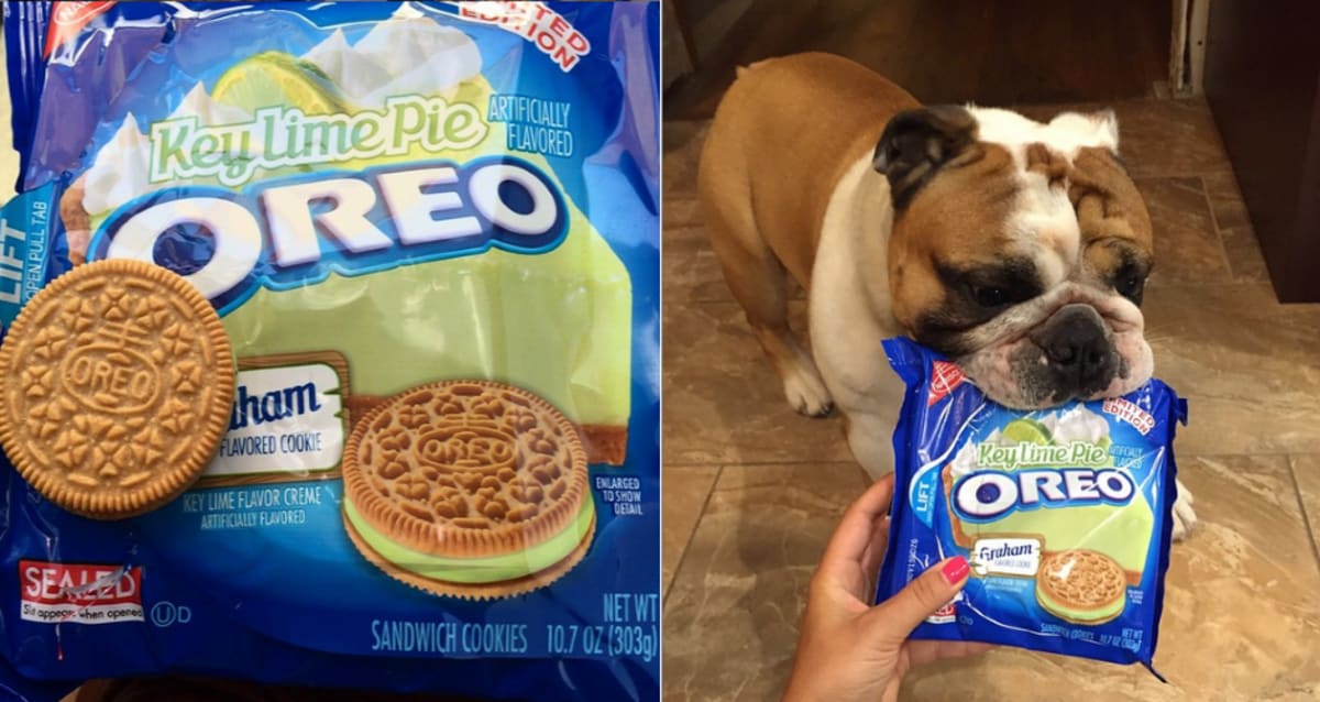 Oreo Quietly Drops Key Lime Pie Oreos | First We Feast