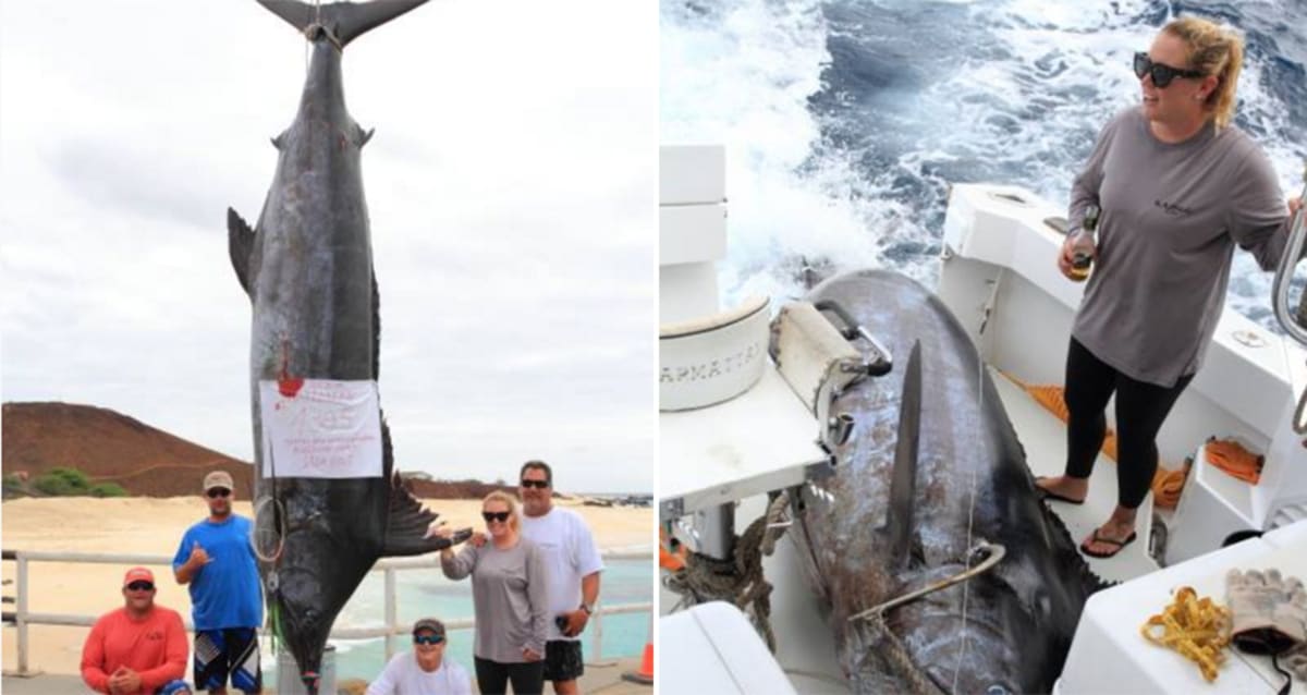 Woman Reels in 1,305-Pound Marlin, the Fourth Largest in the World