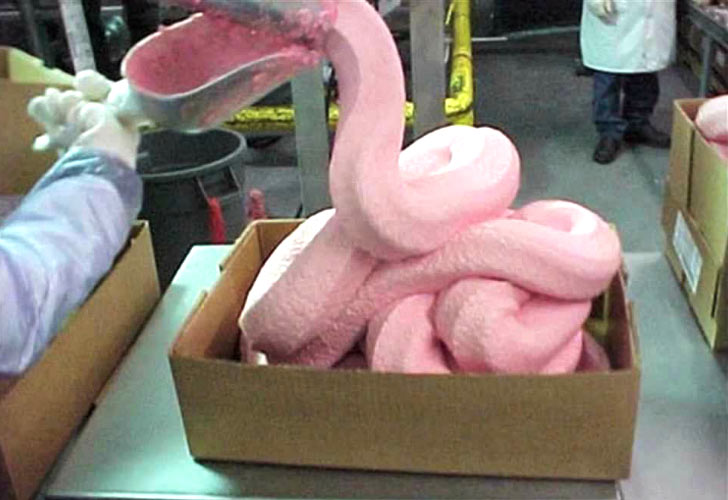 5 Things You Need To Know About Pink Slime First We Feast