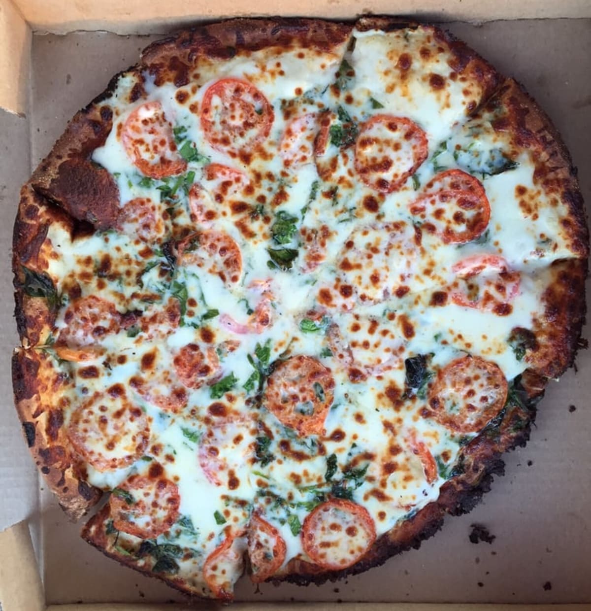 The Best Pizza From Each of the 50 States First We Feast