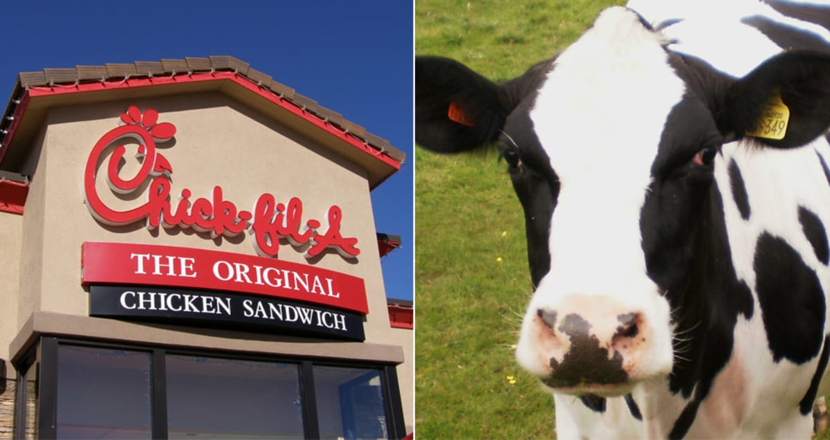 chick fil a toy cows