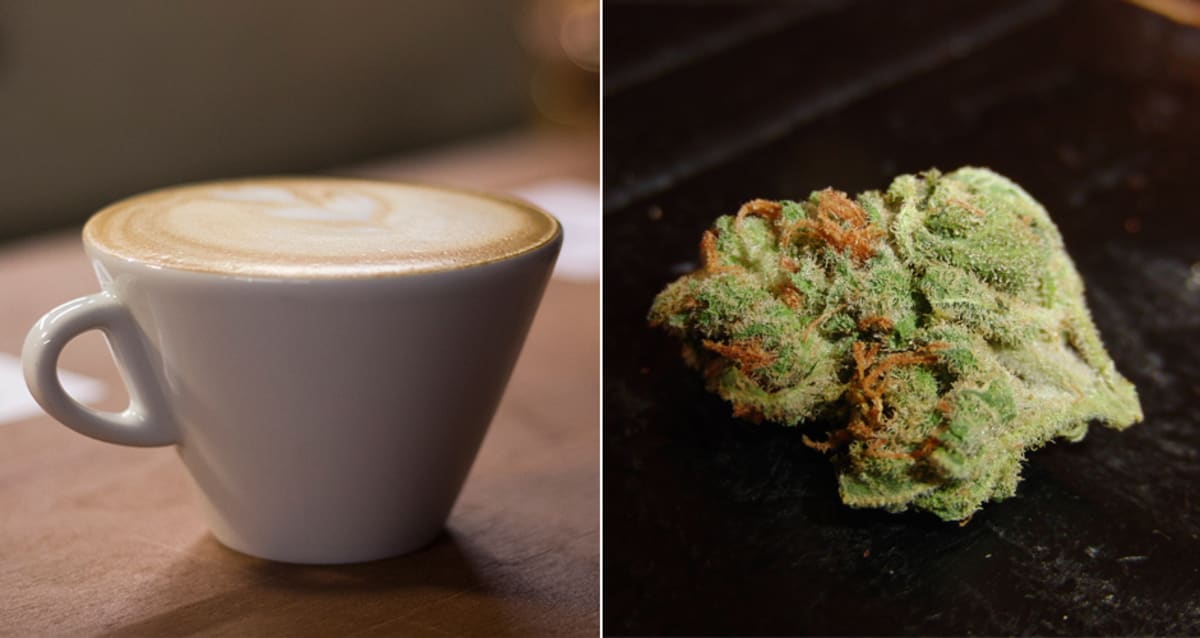 These Weed-Infused Coffee Pods Could Revolutionize Your Morning Cup of