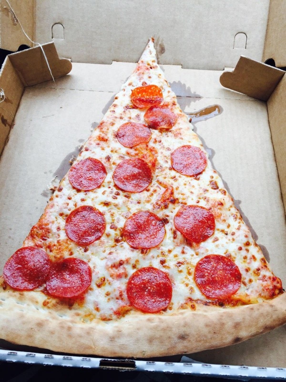 A Taxonomy of Pizza Styles in America | First We Feast