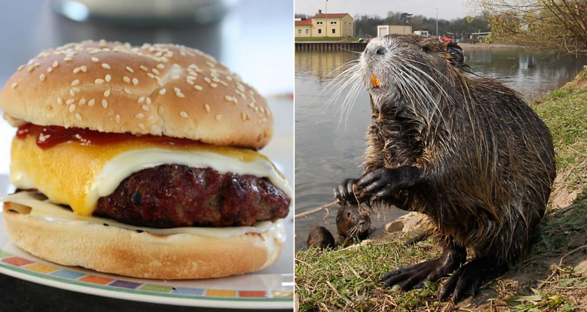 These “River Rat” Burgers Are the Latest Trend to Sweep Restaurants in