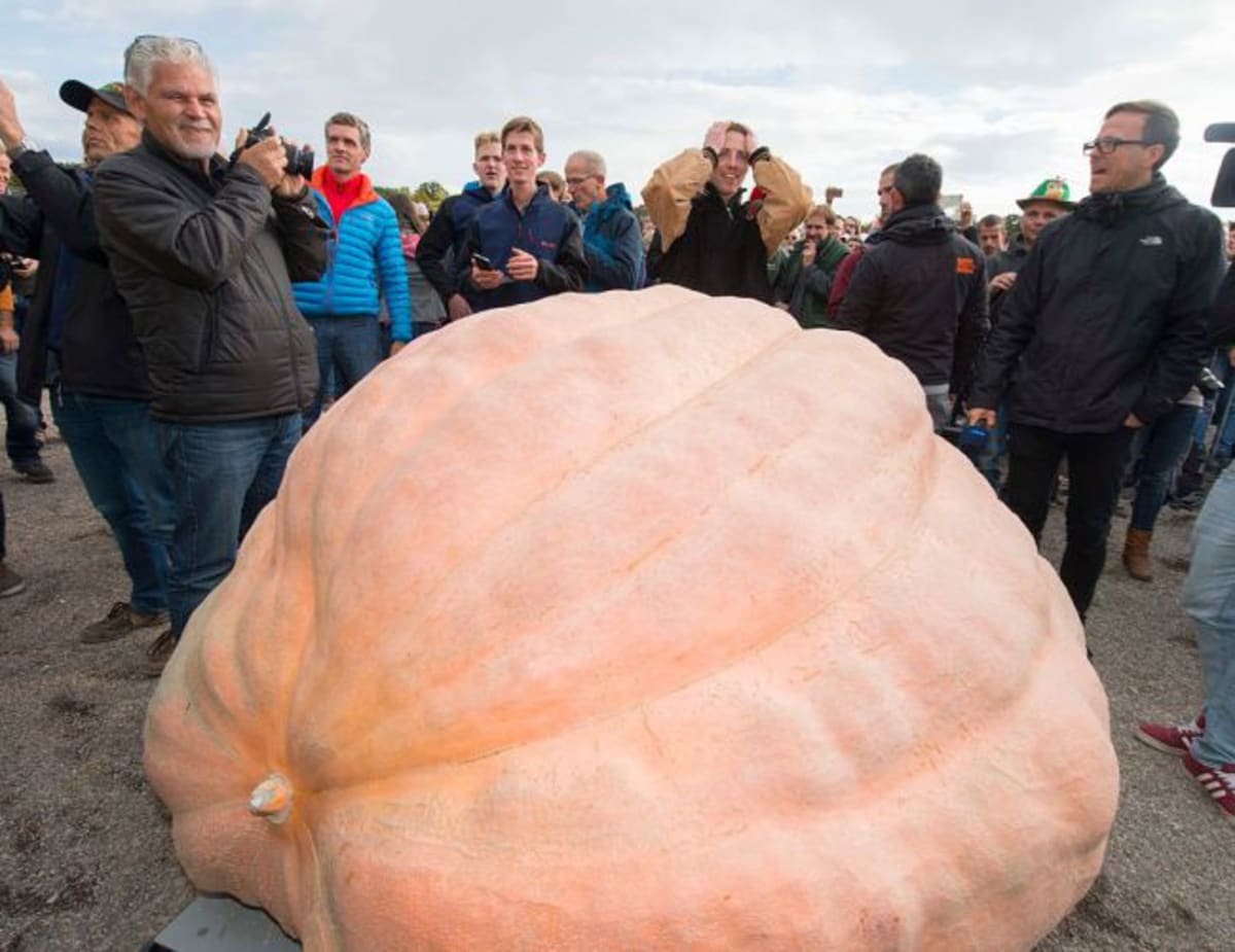 This Terrifying, 2,600Pound Pumpkin Just Shattered the World Record