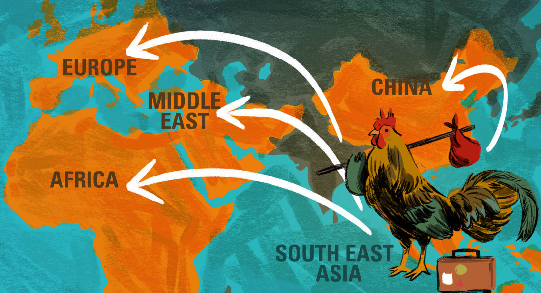 Illustrated History of Fried Chicken | First We Feast