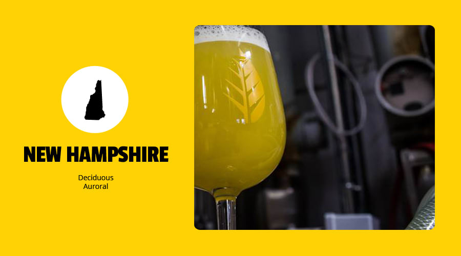 The Best Craft Beers From Each of the 50 States The United States of